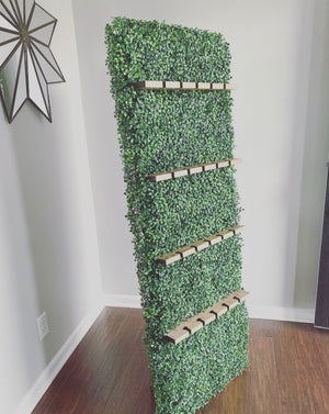Boxwood Champagne Wall