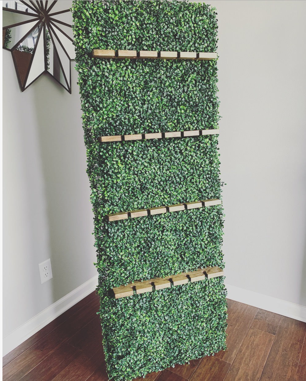 Boxwood Champagne Wall